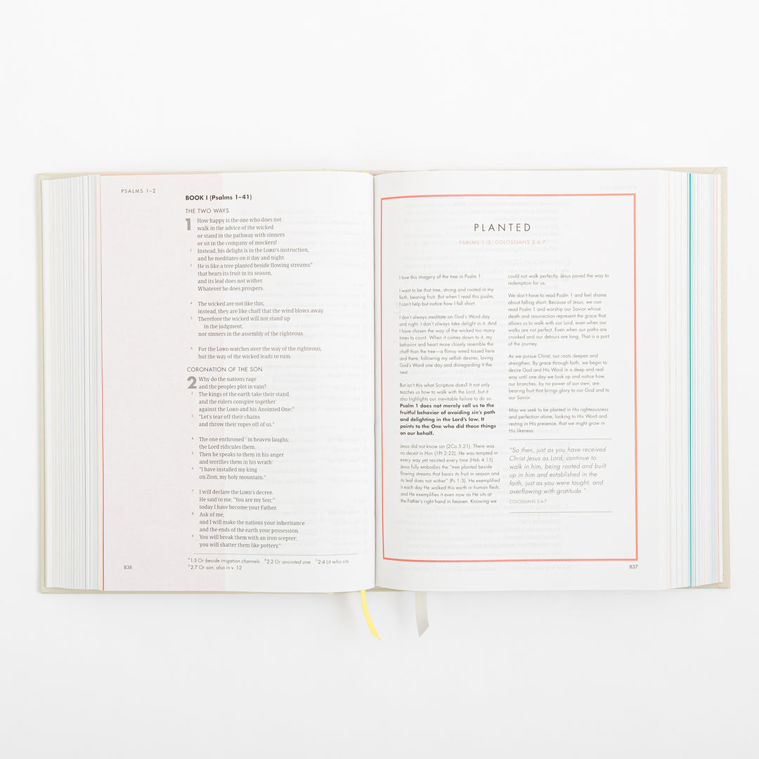CSB She Reads Truth Bible - Hardcover - Cream