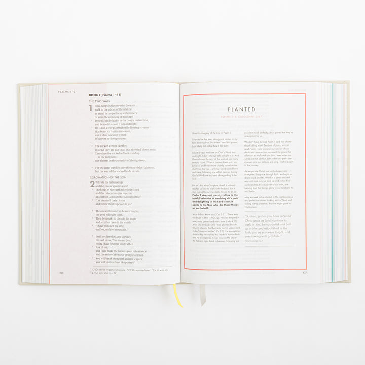 CSB She Reads Truth Bible - Hardcover - Cream