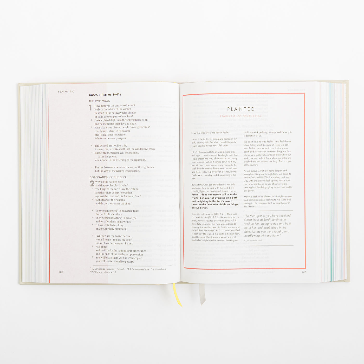 CSB She Reads Truth Bible - Hardcover