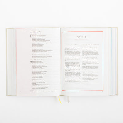 CSB She Reads Truth Bible - Hardcover
