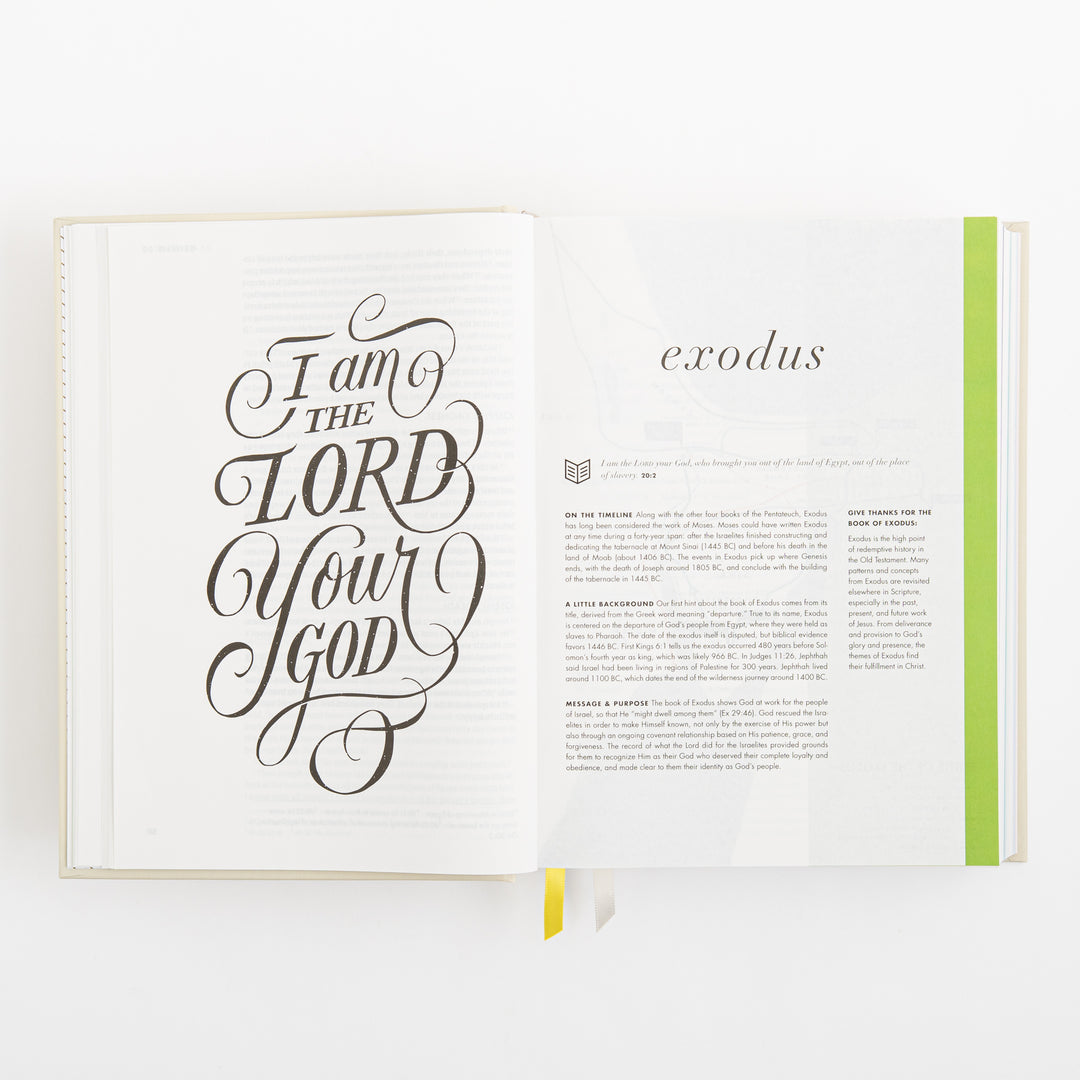 CSB She Reads Truth Bible - Hardcover - Cream