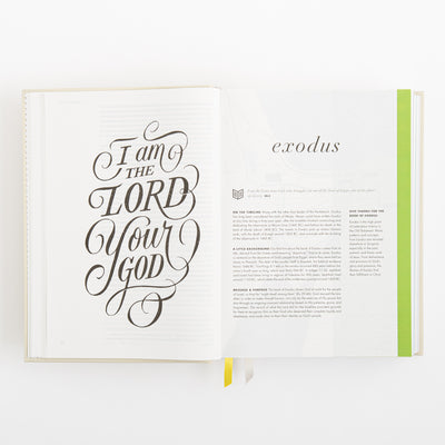 CSB She Reads Truth Bible - Hardcover