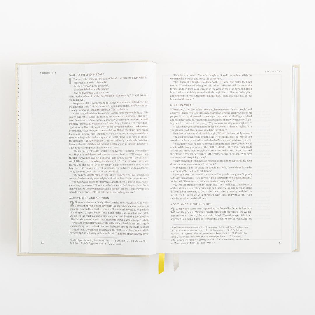 CSB She Reads Truth Bible - Hardcover - Cream