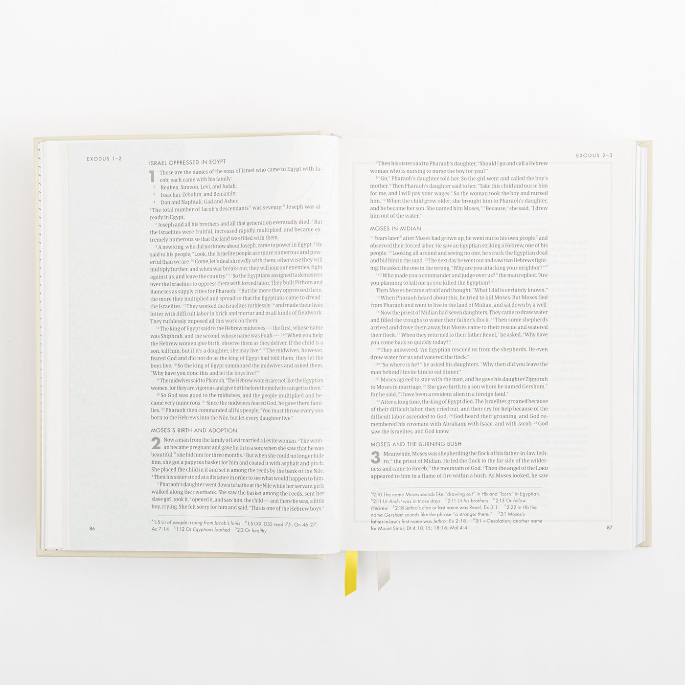 CSB She Reads Truth Bible - Hardcover
