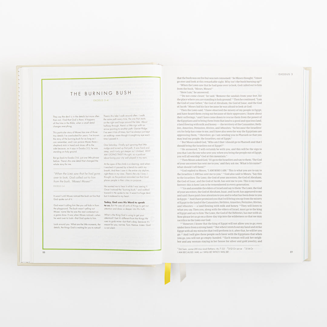 CSB She Reads Truth Bible - Hardcover - Cream