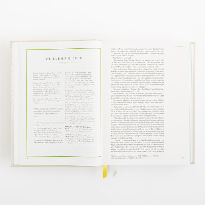 CSB She Reads Truth Bible - Hardcover - Cream