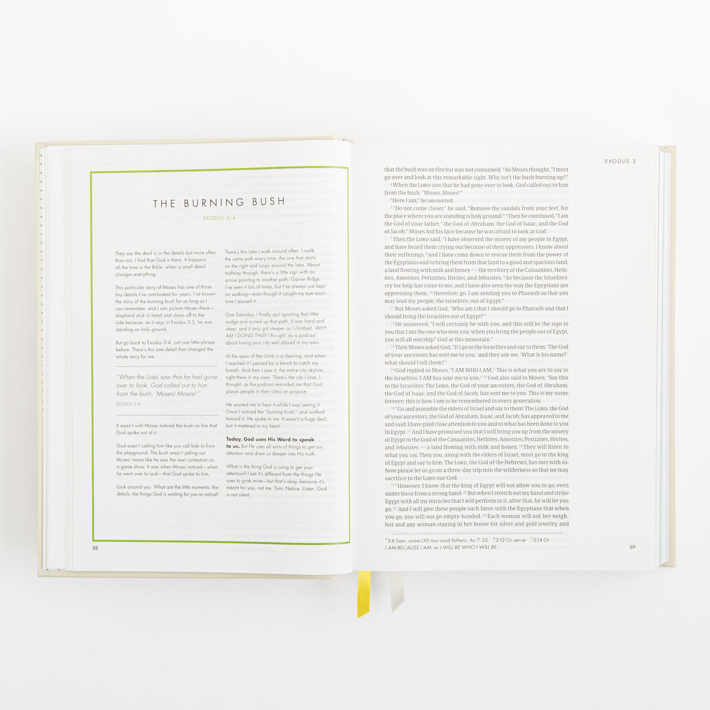 CSB She Reads Truth Bible - Hardcover