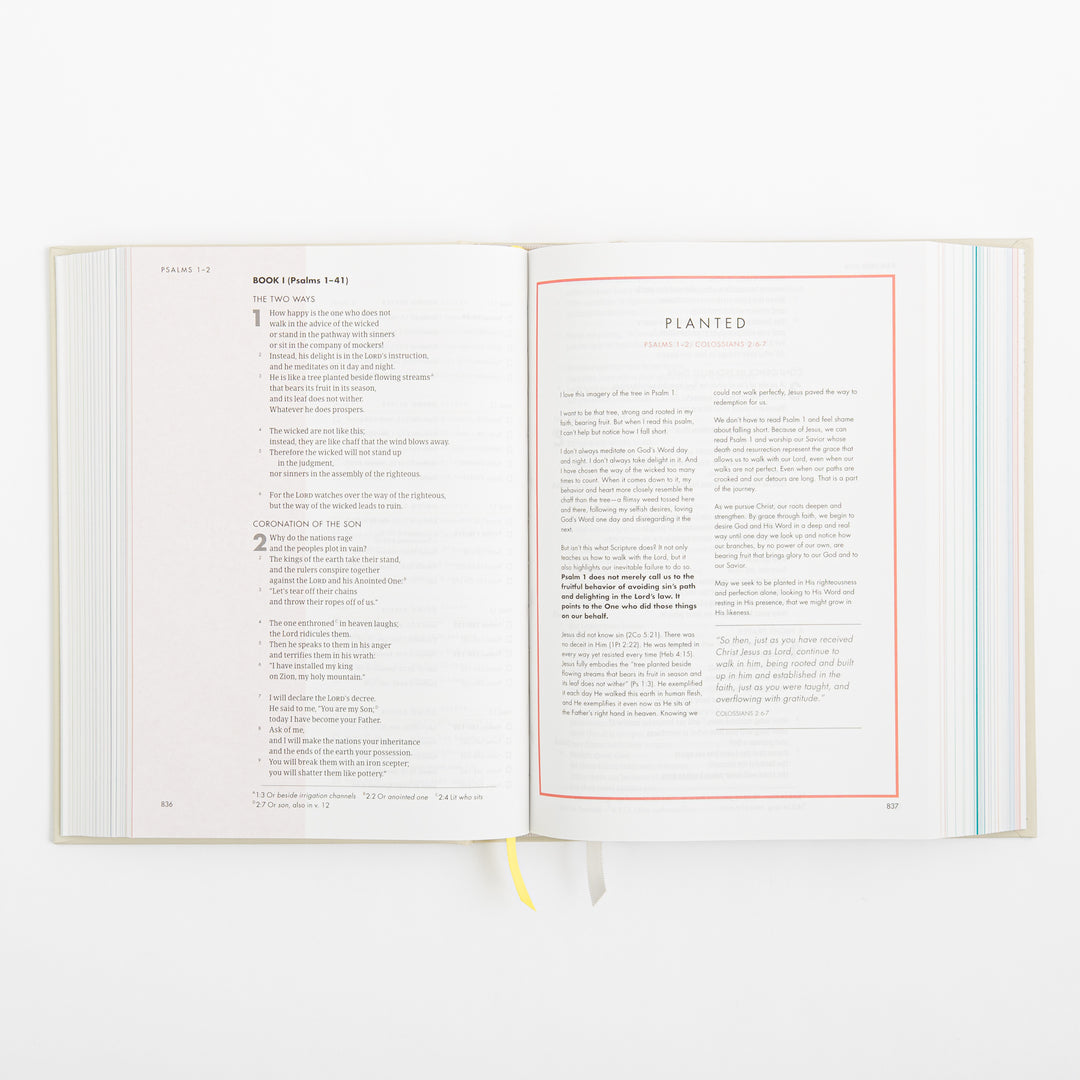 CSB She Reads Truth Bible - Hardcover - Cream
