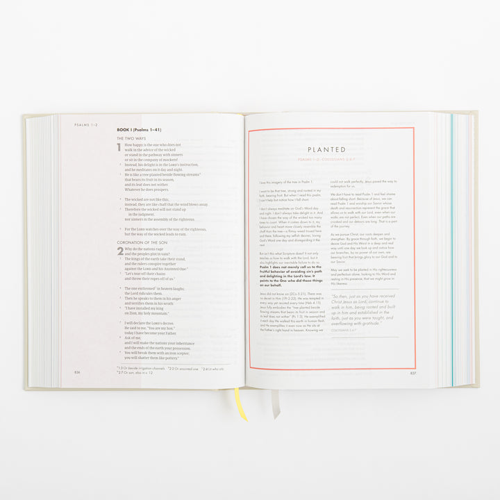 CSB She Reads Truth Bible - Hardcover - Cream