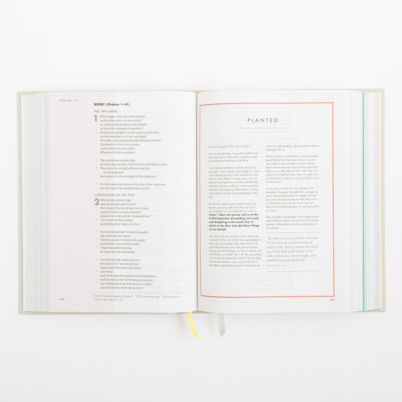 CSB She Reads Truth Bible - Hardcover
