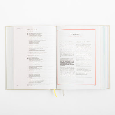 CSB She Reads Truth Bible - Hardcover