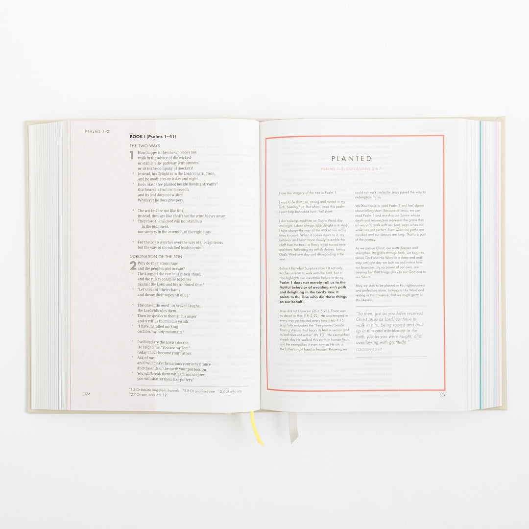 CSB She Reads Truth Bible - Hardcover - Cream