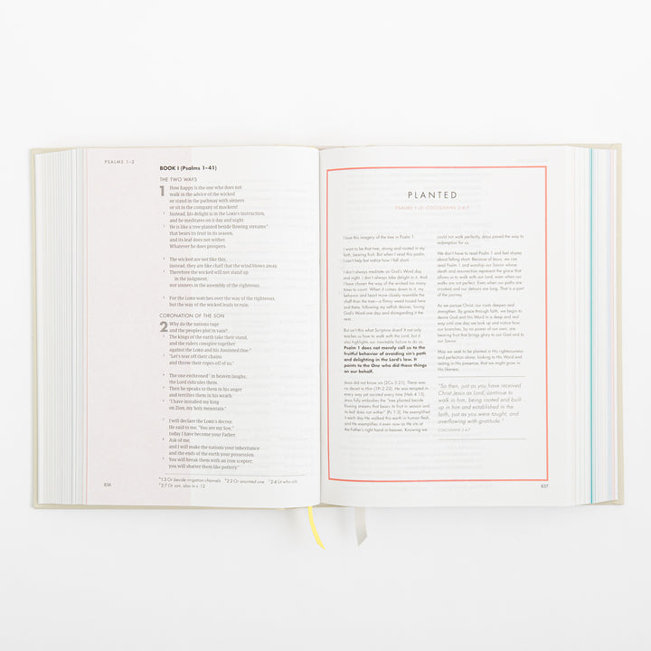 CSB She Reads Truth Bible - Hardcover - Cream