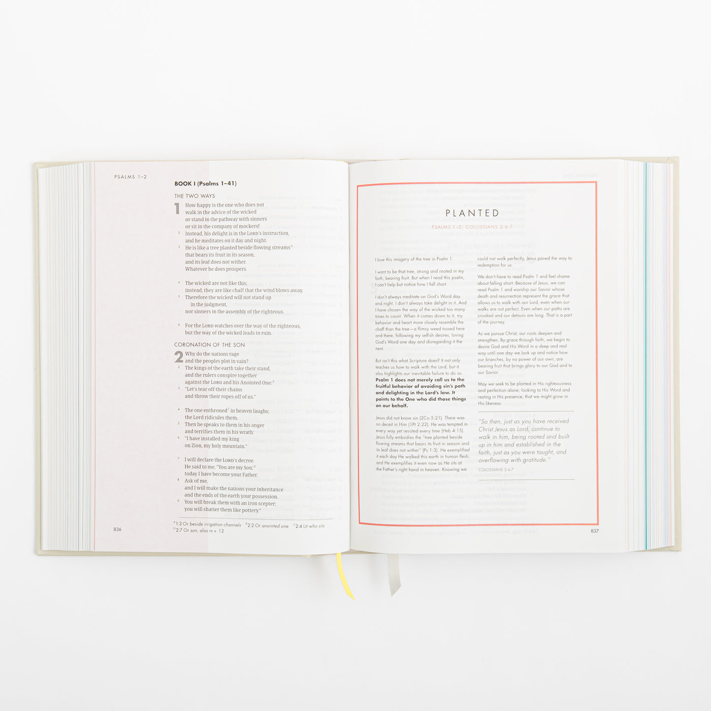 CSB She Reads Truth Bible - Hardcover