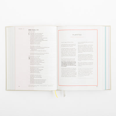 CSB She Reads Truth Bible - Hardcover