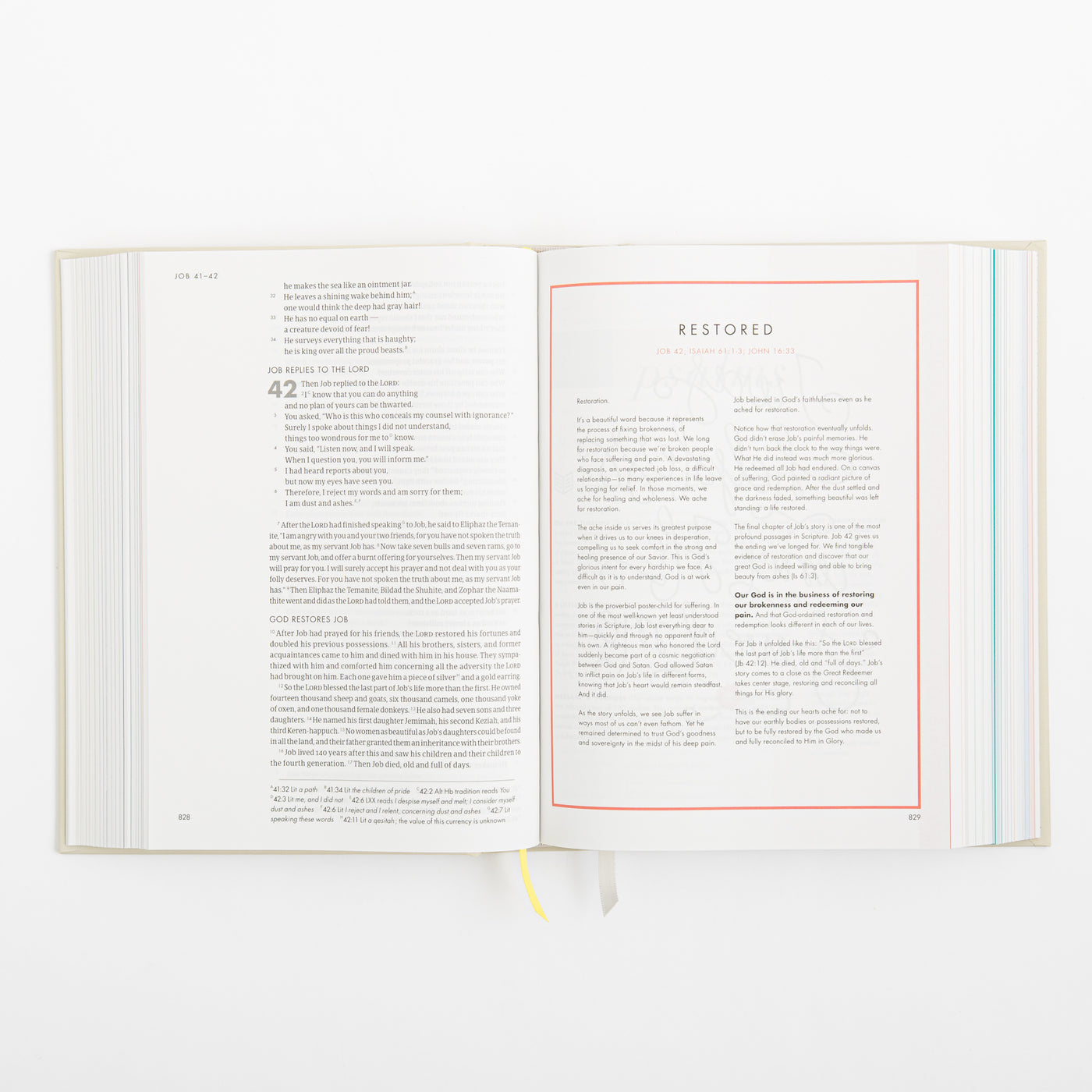 CSB She Reads Truth Bible - Hardcover