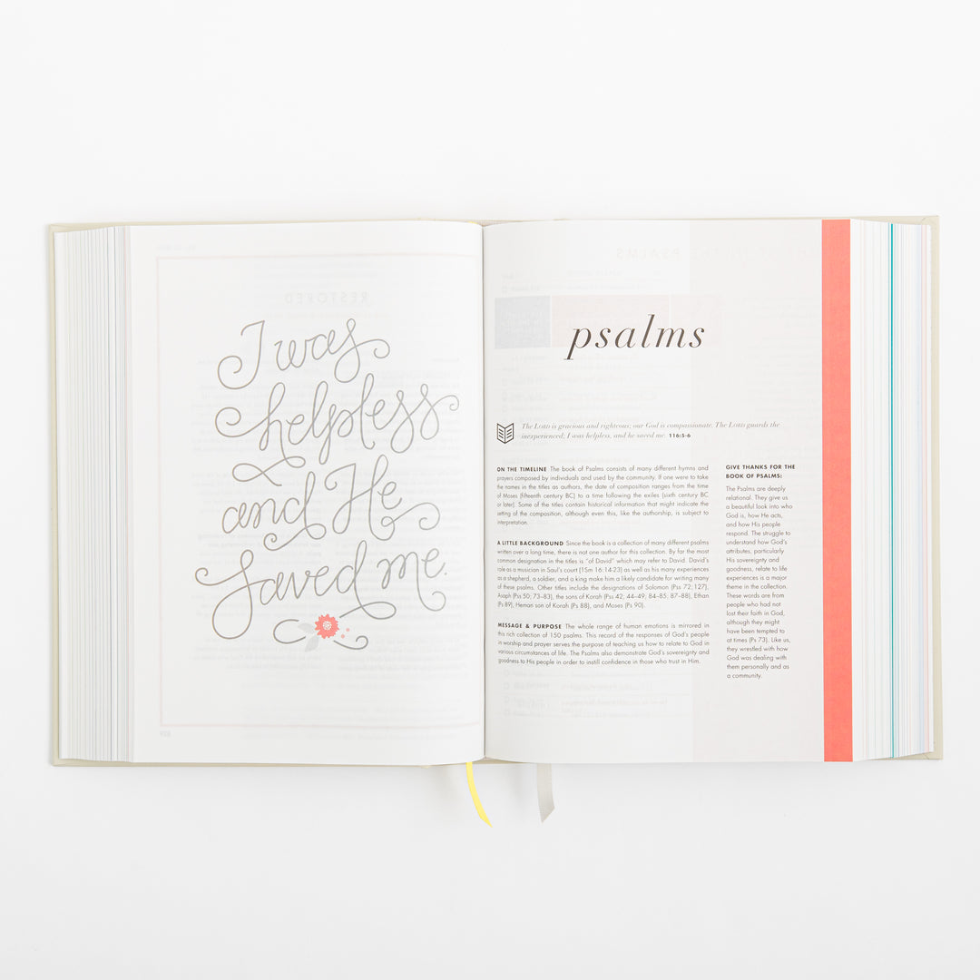 CSB She Reads Truth Bible - Hardcover - Cream