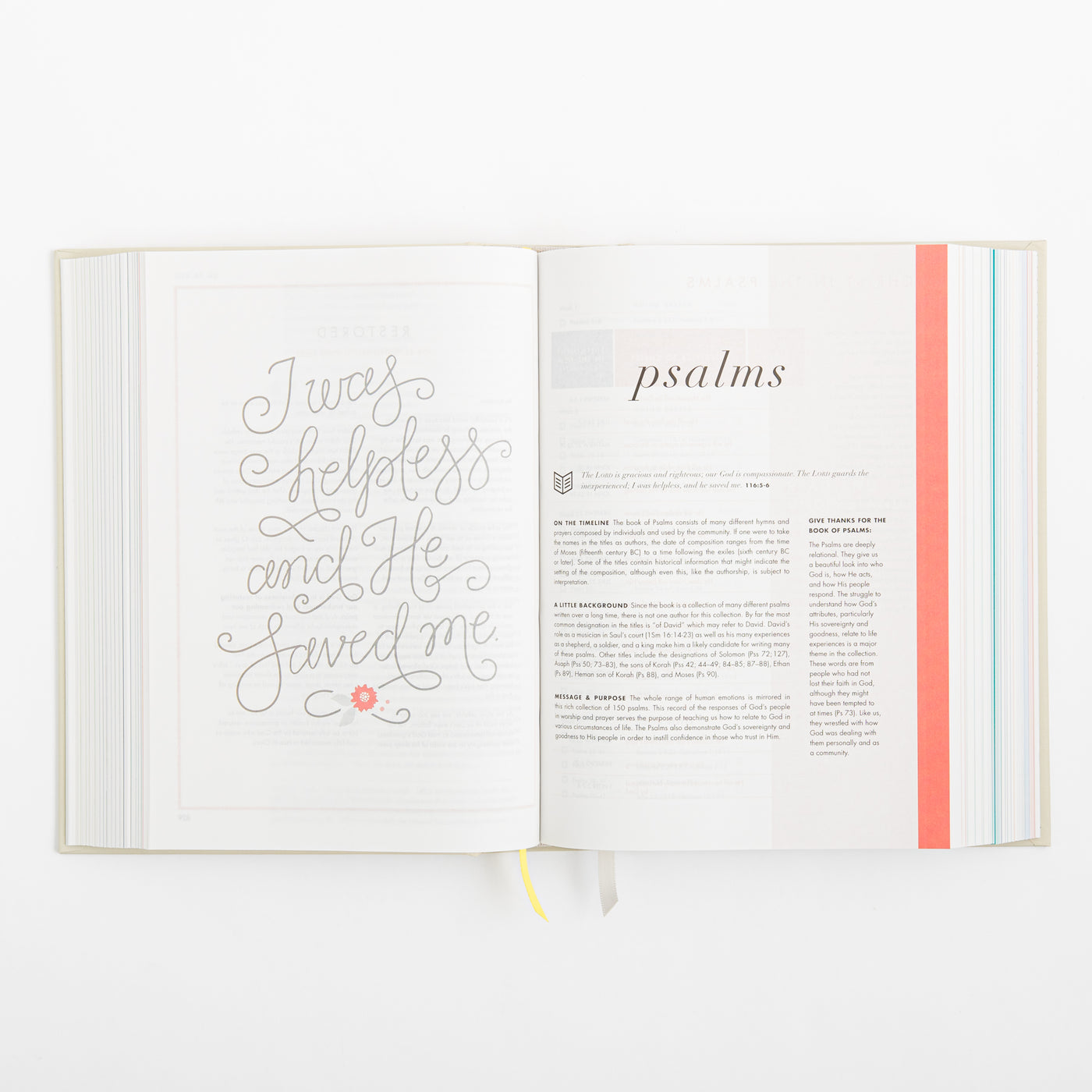 CSB She Reads Truth Bible - Hardcover