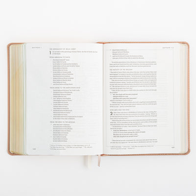 CSB She Reads Truth Bible - Rose Gold LeatherTouch