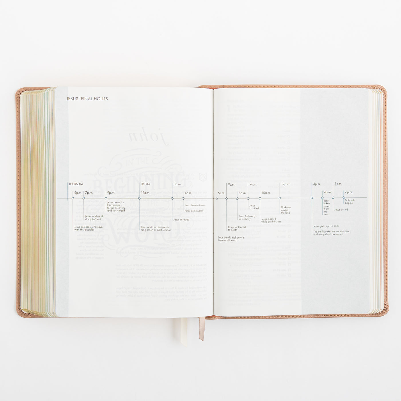 CSB She Reads Truth Bible - Rose Gold LeatherTouch
