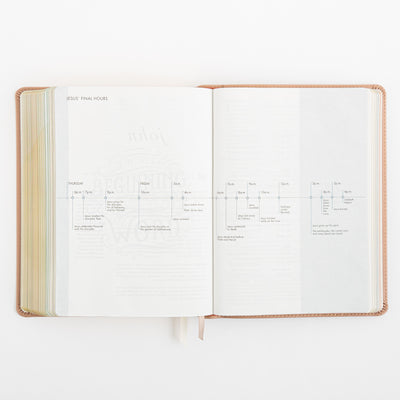 CSB She Reads Truth Bible - Rose Gold LeatherTouch