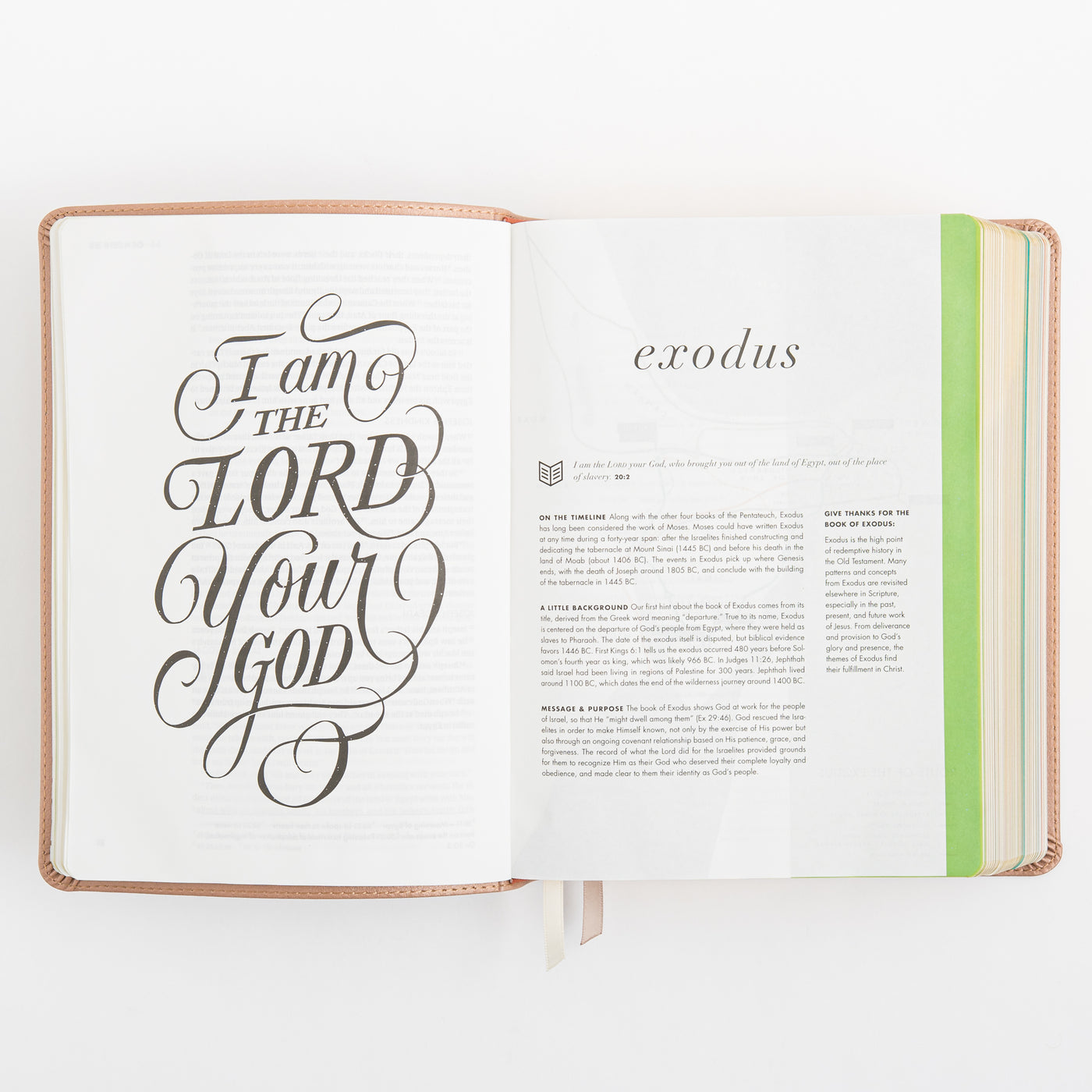 CSB She Reads Truth Bible - Rose Gold LeatherTouch