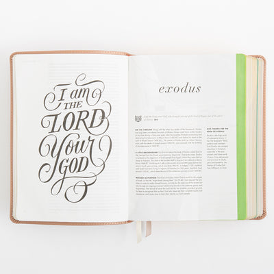 CSB She Reads Truth Bible - Rose Gold LeatherTouch