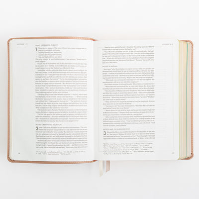 CSB She Reads Truth Bible - Rose Gold LeatherTouch
