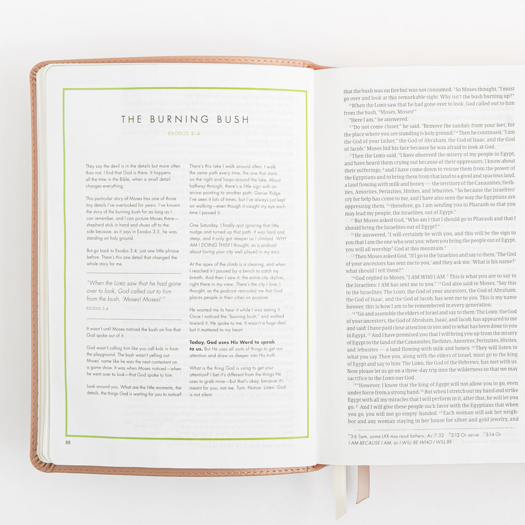 CSB She Reads Truth Bible - Rose Gold LeatherTouch
