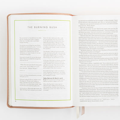 CSB She Reads Truth Bible - Rose Gold LeatherTouch