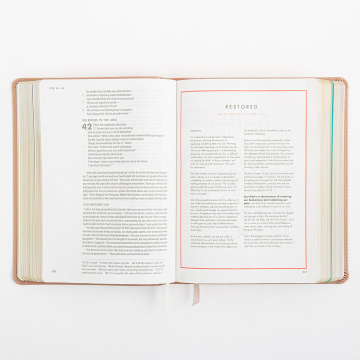 CSB She Reads Truth Bible - Rose Gold LeatherTouch