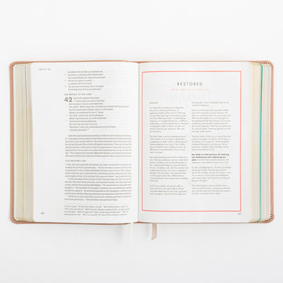 CSB She Reads Truth Bible - Rose Gold LeatherTouch