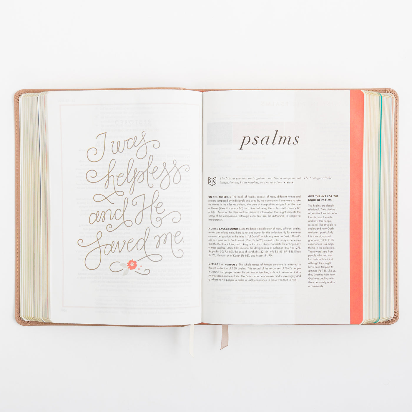 CSB She Reads Truth Bible - Rose Gold LeatherTouch