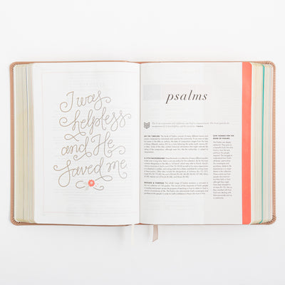 CSB She Reads Truth Bible - Rose Gold LeatherTouch