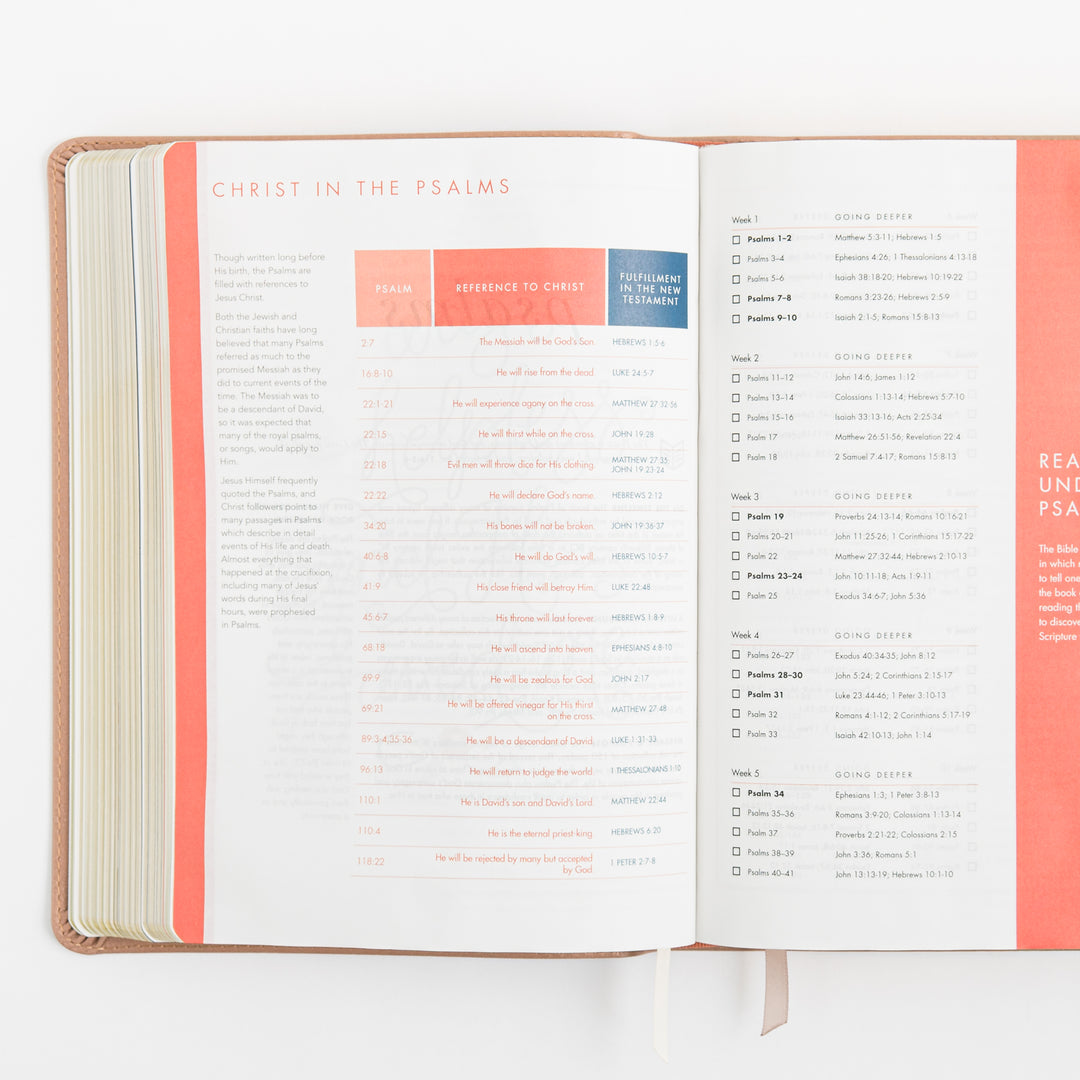 CSB She Reads Truth Bible - Rose Gold LeatherTouch