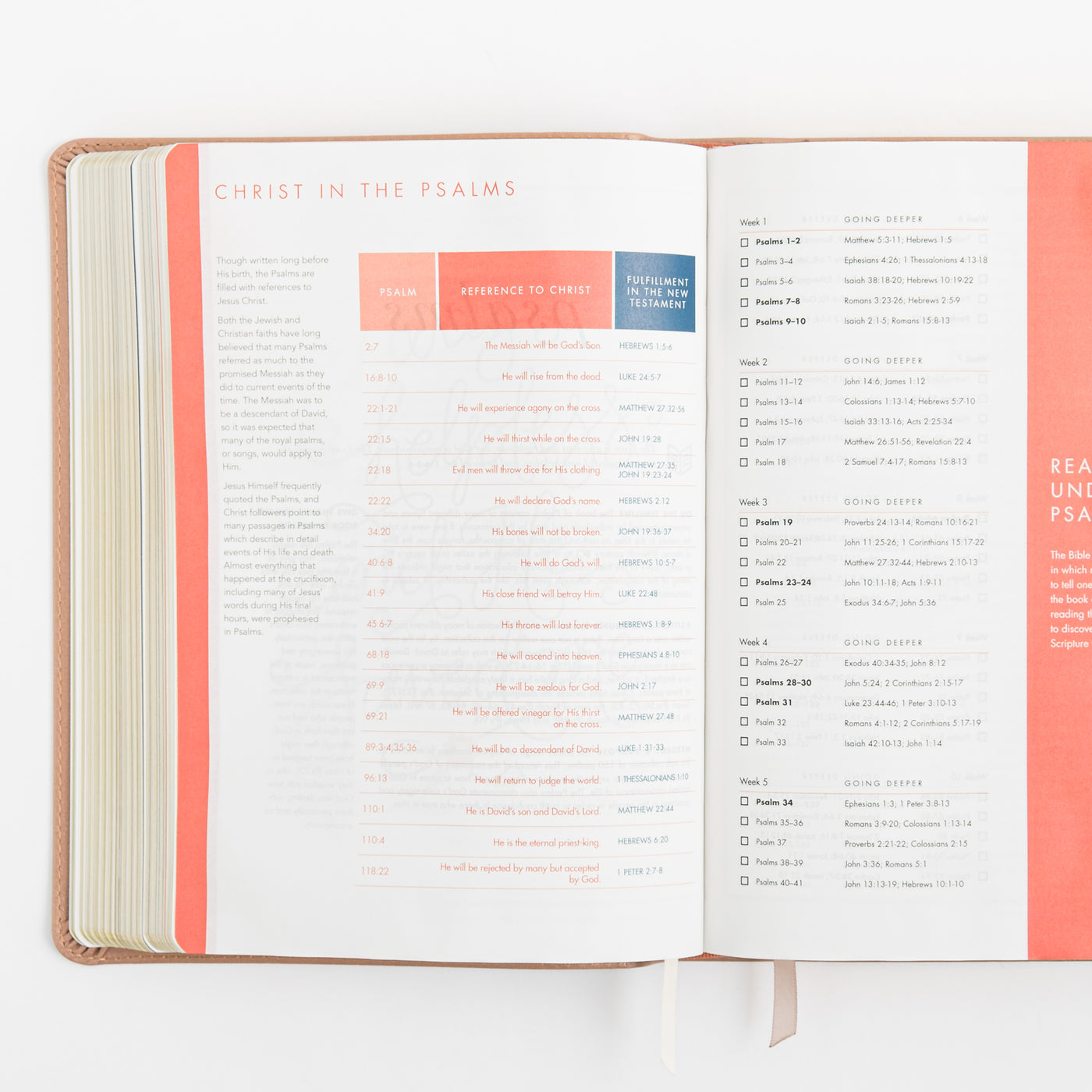 CSB She Reads Truth Bible - Rose Gold LeatherTouch