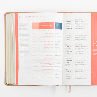 CSB She Reads Truth Bible - Rose Gold LeatherTouch