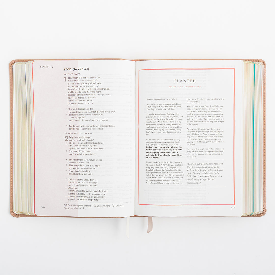CSB She Reads Truth Bible - Rose Gold LeatherTouch