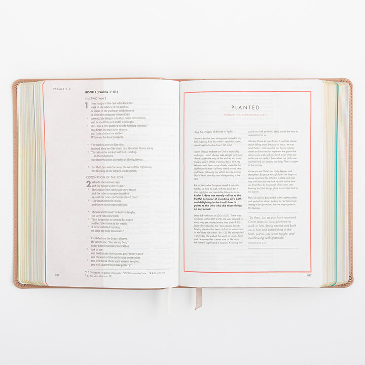 CSB She Reads Truth Bible - Rose Gold LeatherTouch