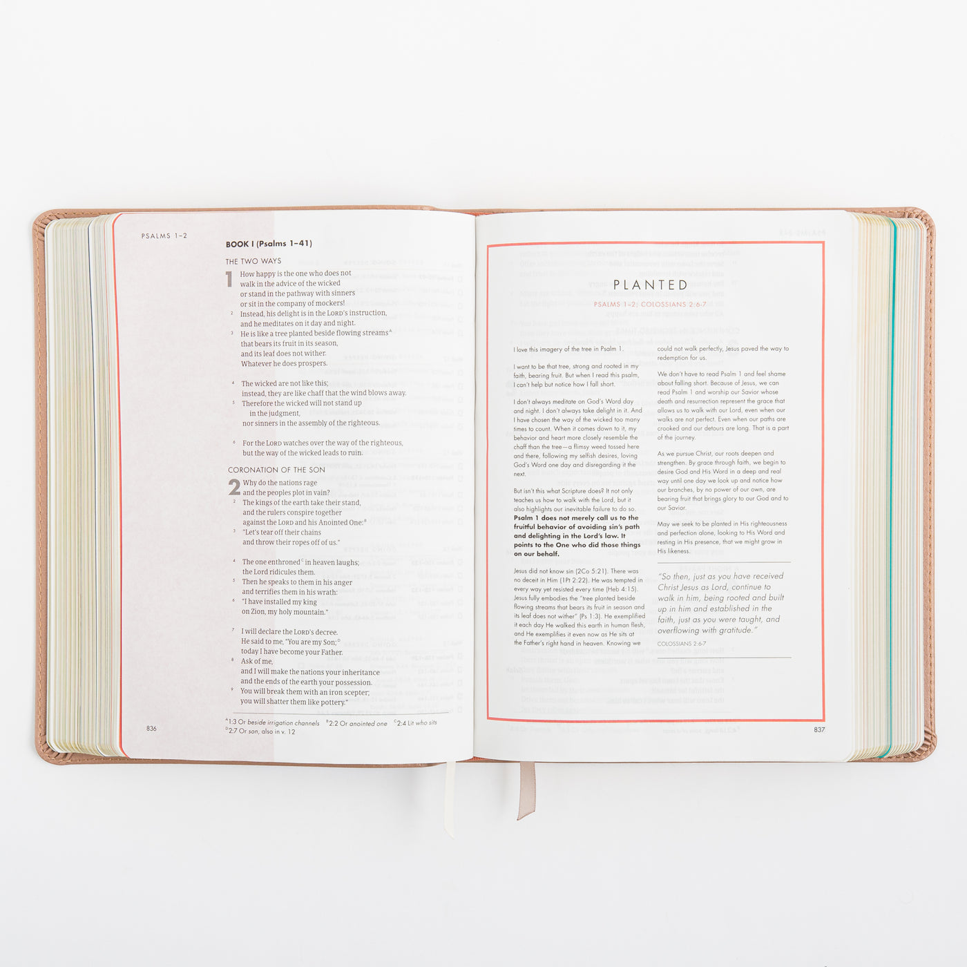 CSB She Reads Truth Bible - Rose Gold LeatherTouch