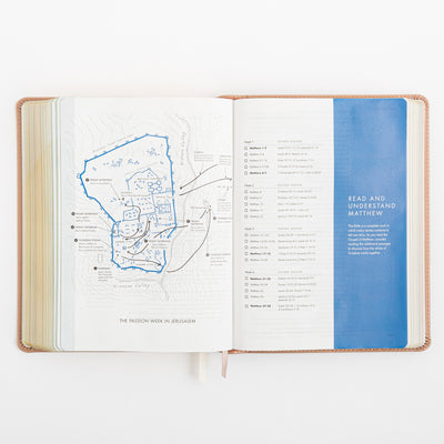CSB She Reads Truth Bible - Rose Gold LeatherTouch