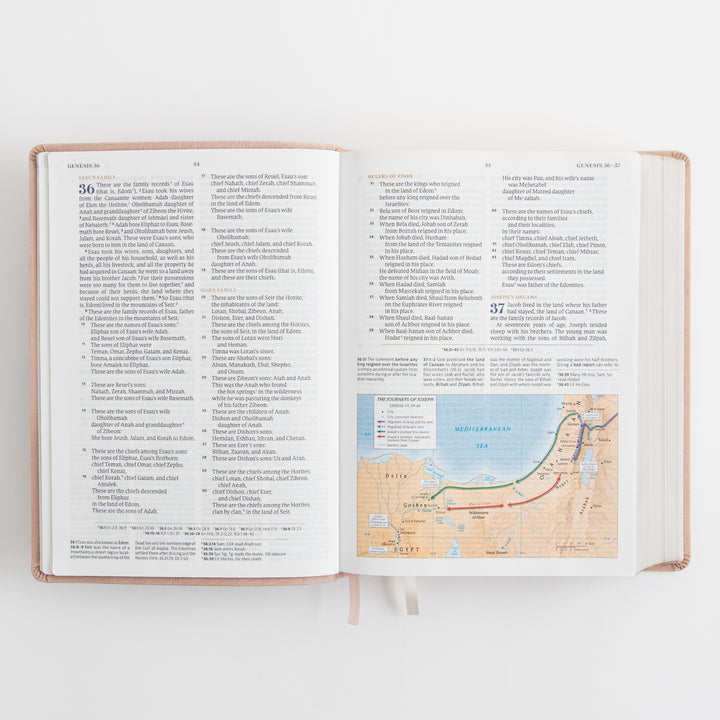 CSB Women's Study Bible - Sonora