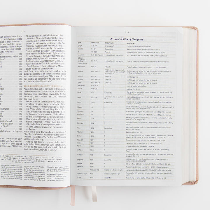 CSB Women's Study Bible - Sonora