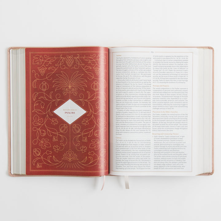 CSB Women's Study Bible - Sonora