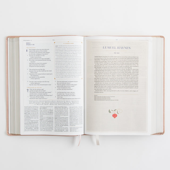 CSB Women's Study Bible - Sonora