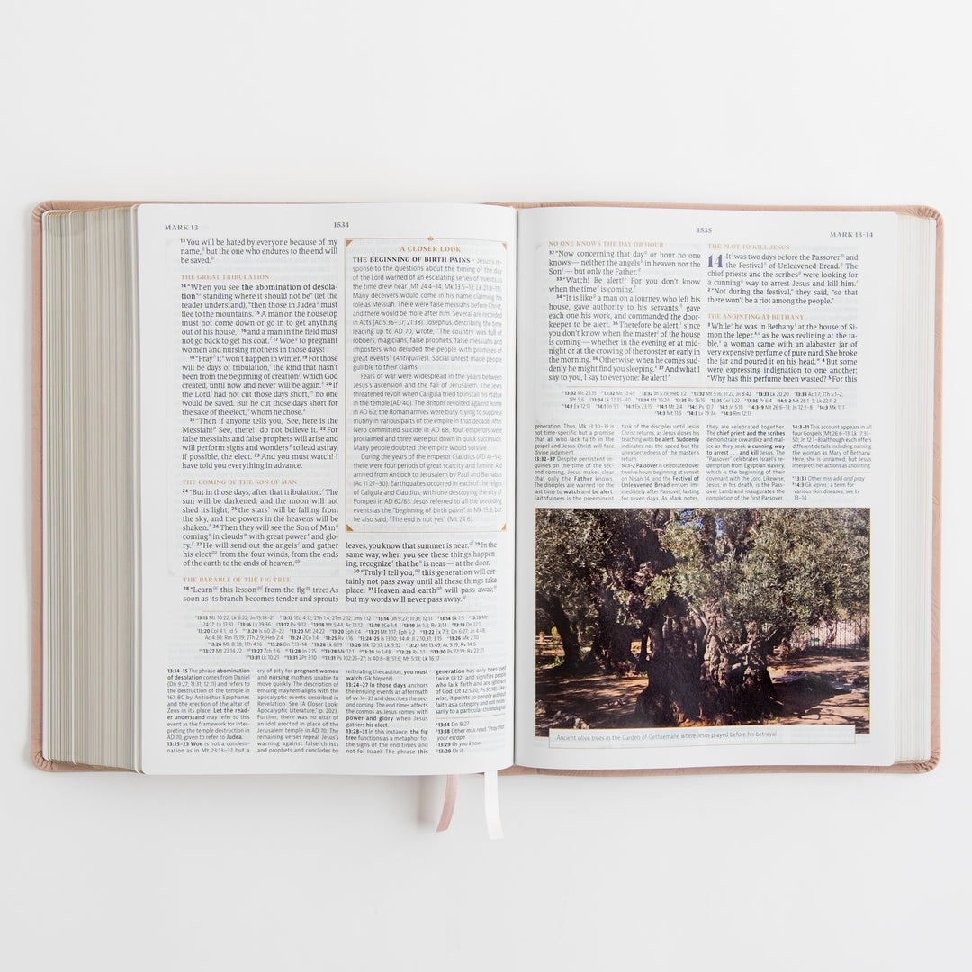 CSB Women's Study Bible - Sonora