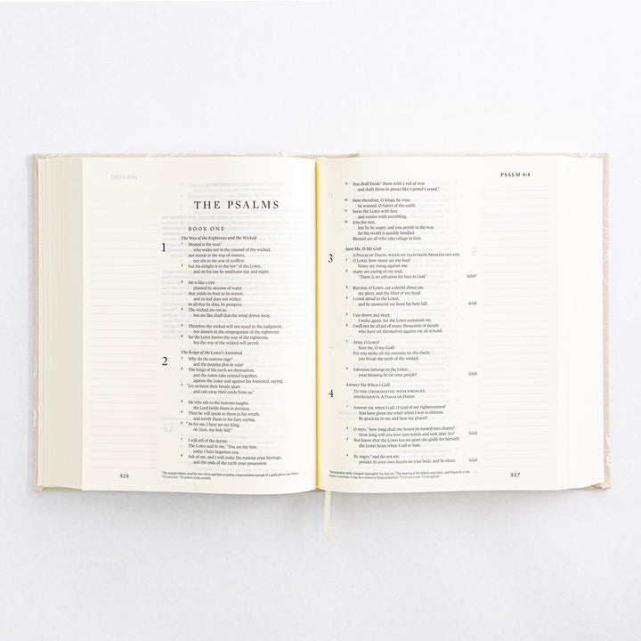 NLT Notetaking Bible - Cloth over Board - Cordova Theme