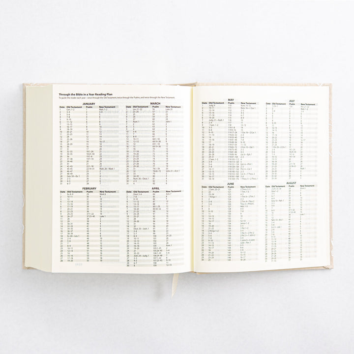NLT Notetaking Bible - Cloth over Board - Cordova Theme