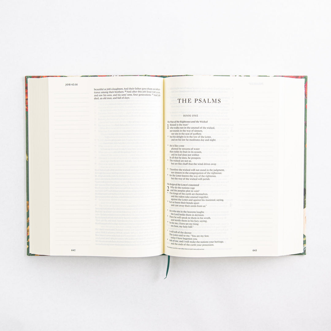 ESV Large Print Journaling Bible - Hardcover - Hollis Theme