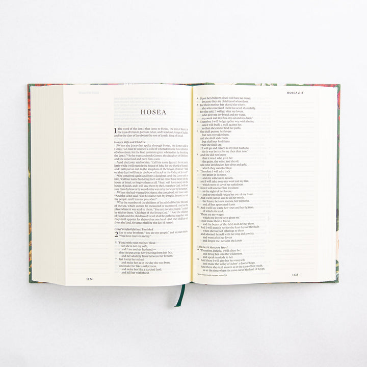 ESV Large Print Journaling Bible - Hardcover - Hollis Theme